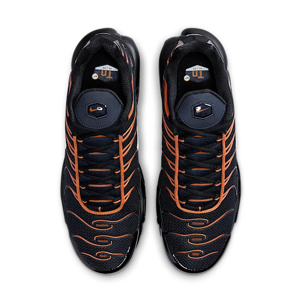 Nike Air Max Plus Dark Obsidian Monarch-Nike-pikastore.cz