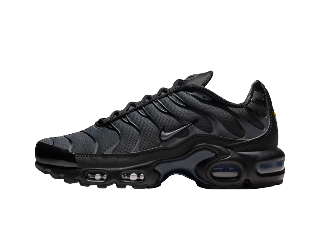 Nike Air Max Plus Black Gradient-Nike-pikastore.cz