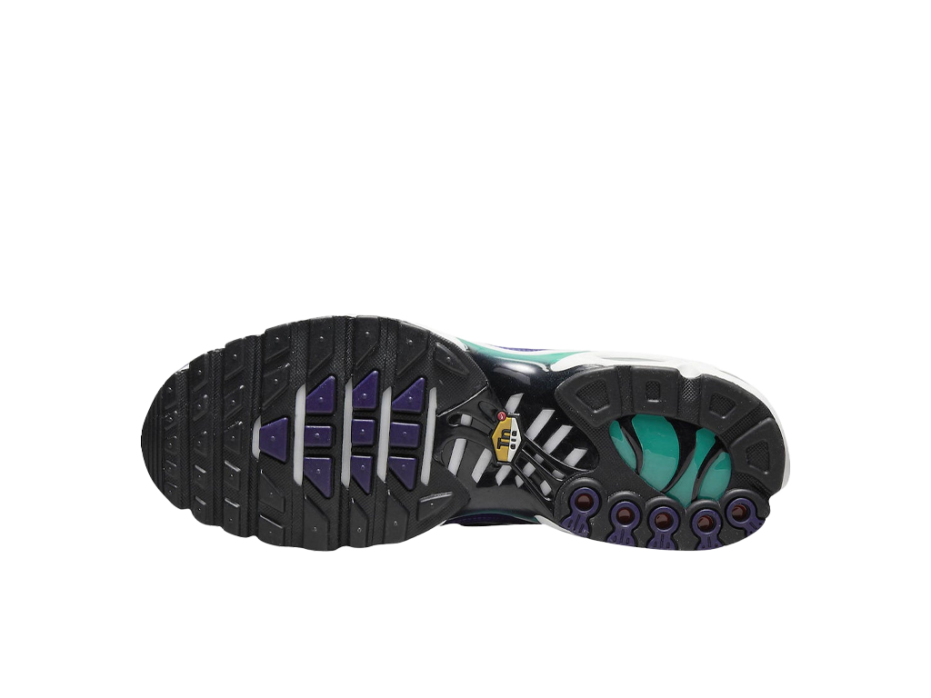 Nike Air Max Plus Grape-Nike-pikastore.cz