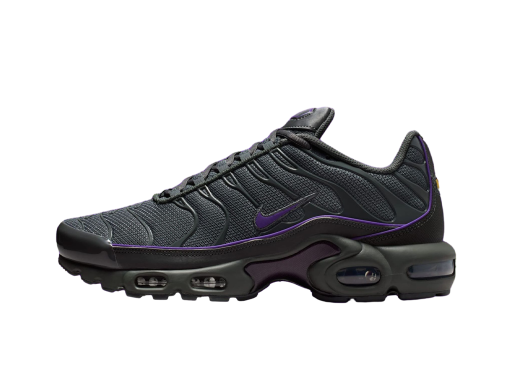 Nike Air Max Plus Iron Grey Wild Grape-Nike-pikastore.cz
