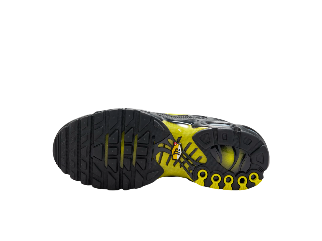 Nike Air Max Plus Wolf Grey Opti Yellow-Nike-pikastore.cz