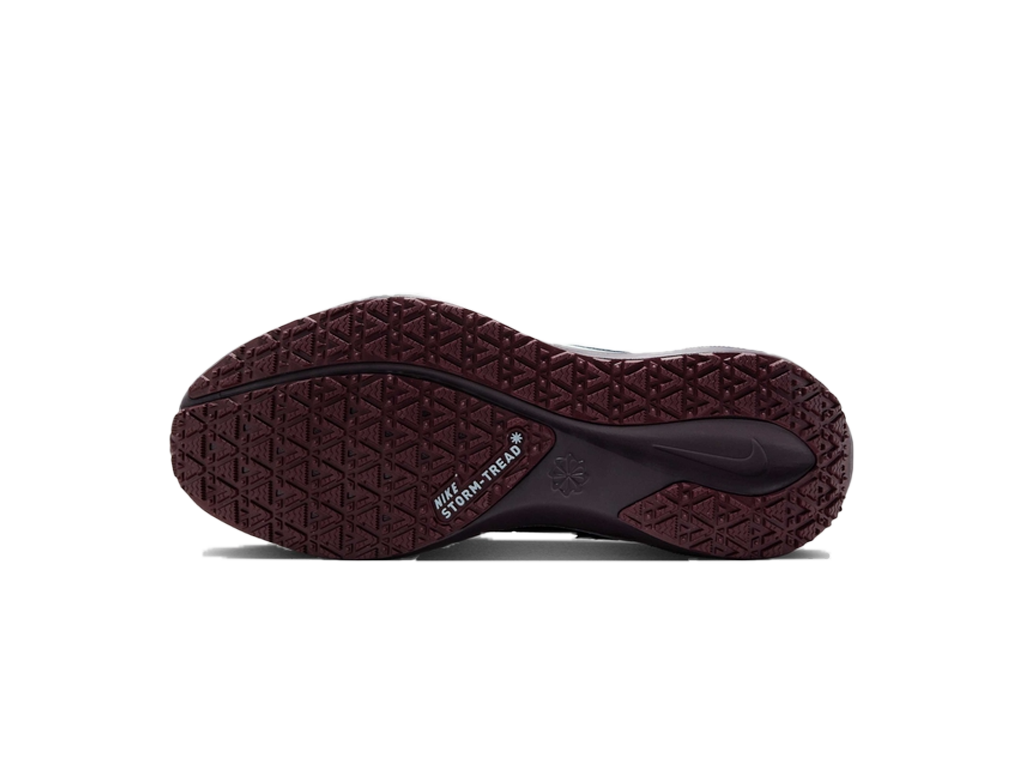 Nike Wmns Air Zoom Pegasus 41 GORE-TEX Dark Obsidian Anthracite Pure Platinum-Nike-pikastore.cz