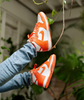 Nike Dunk High
