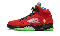 Nike Air Jordan 5 Retro SE What The
