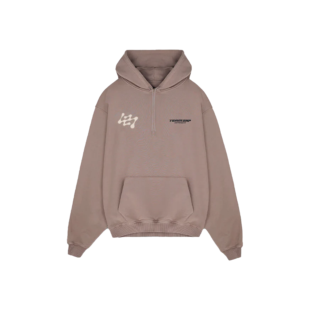 Represent 247 Future Terrains Oversized Hoodie Umber-Represent-pikastore.cz