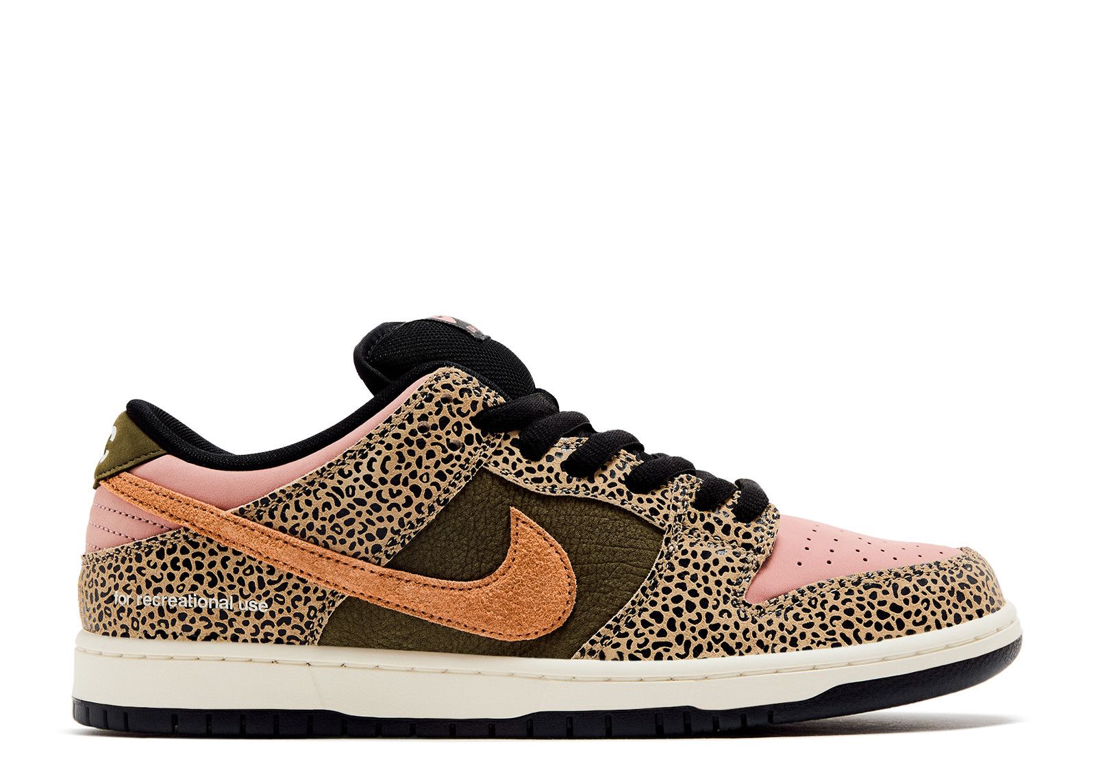 Nike Arts-Rec x Dunk Low SB For Recreational Use