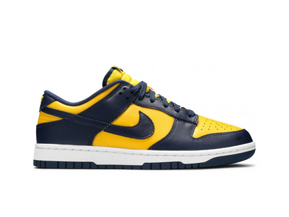 Nike Dunk Low Disrupt 2 Michigan (Women's)