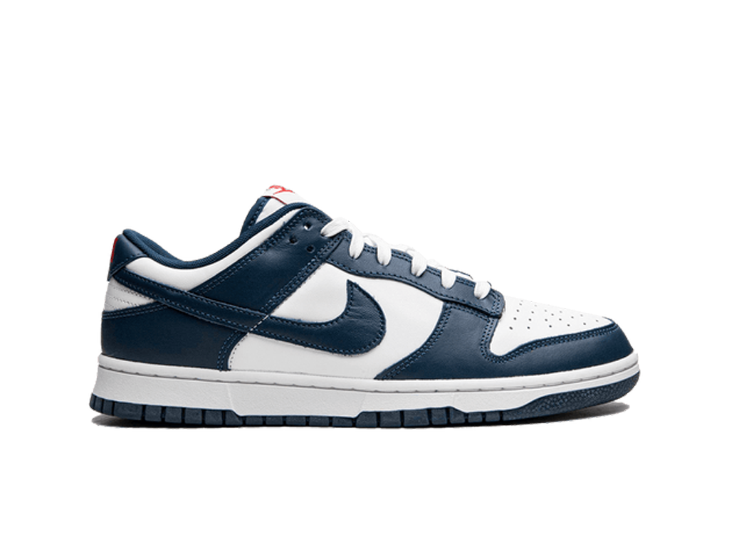 Nike Dunk Low Valerian Blue