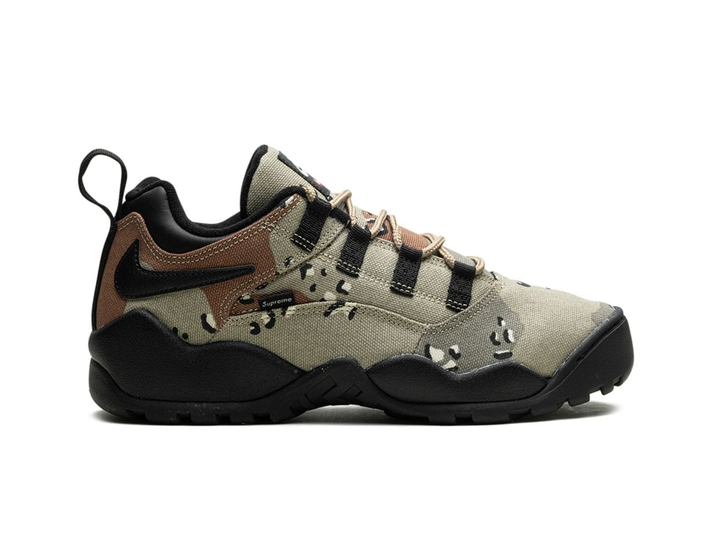 Nike SB Darwin Low Supreme Desert Camo