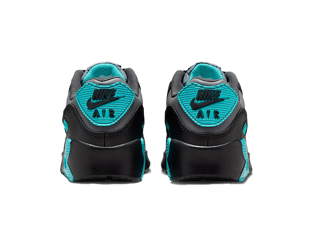 Nike Air Max 90 LTR Cool Grey Dusty Cactus Black Wolf Grey (GS)-Nike-pikastore.cz