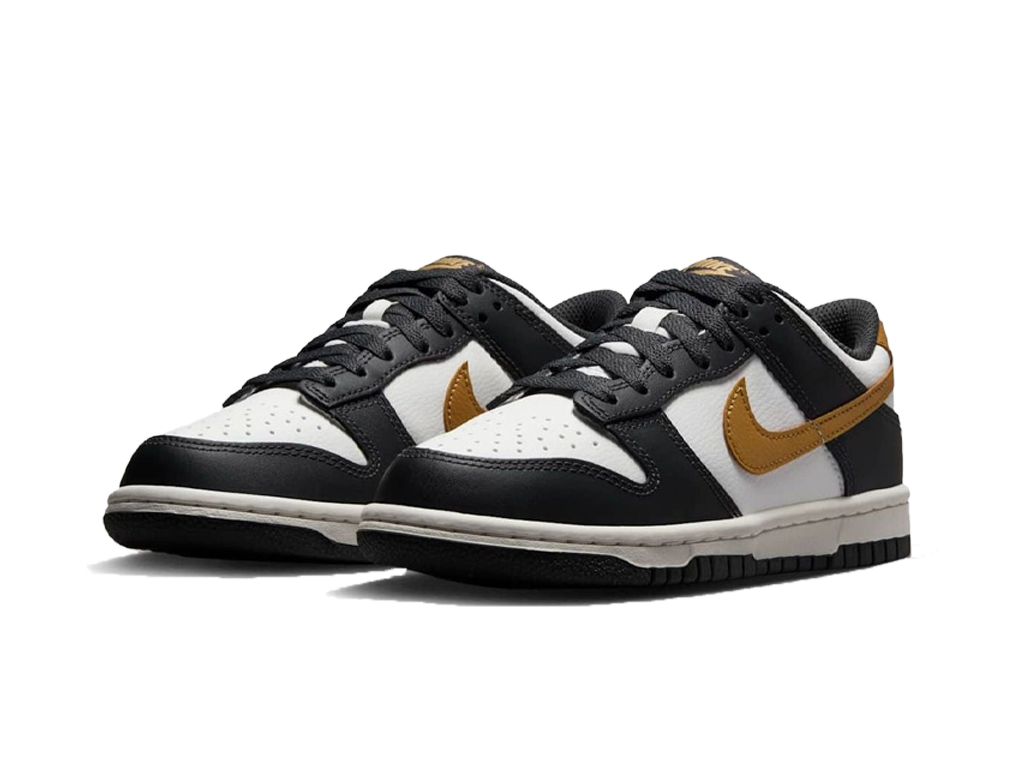Nike Dunk Low GS Anthracite Metallic Gold-Nike-pikastore.cz