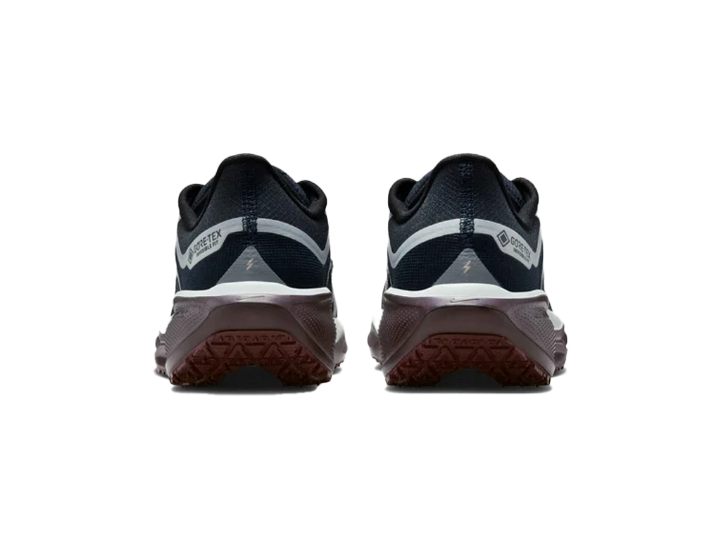 Nike Wmns Air Zoom Pegasus 41 GORE-TEX Dark Obsidian Anthracite Pure Platinum-Nike-pikastore.cz