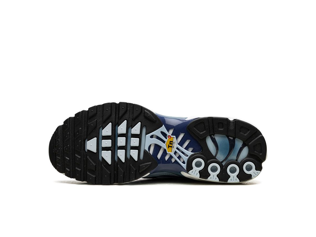 Nike Air Max Plus Celestine Blue (Women's)-sneakers-Nike-pikastore.cz