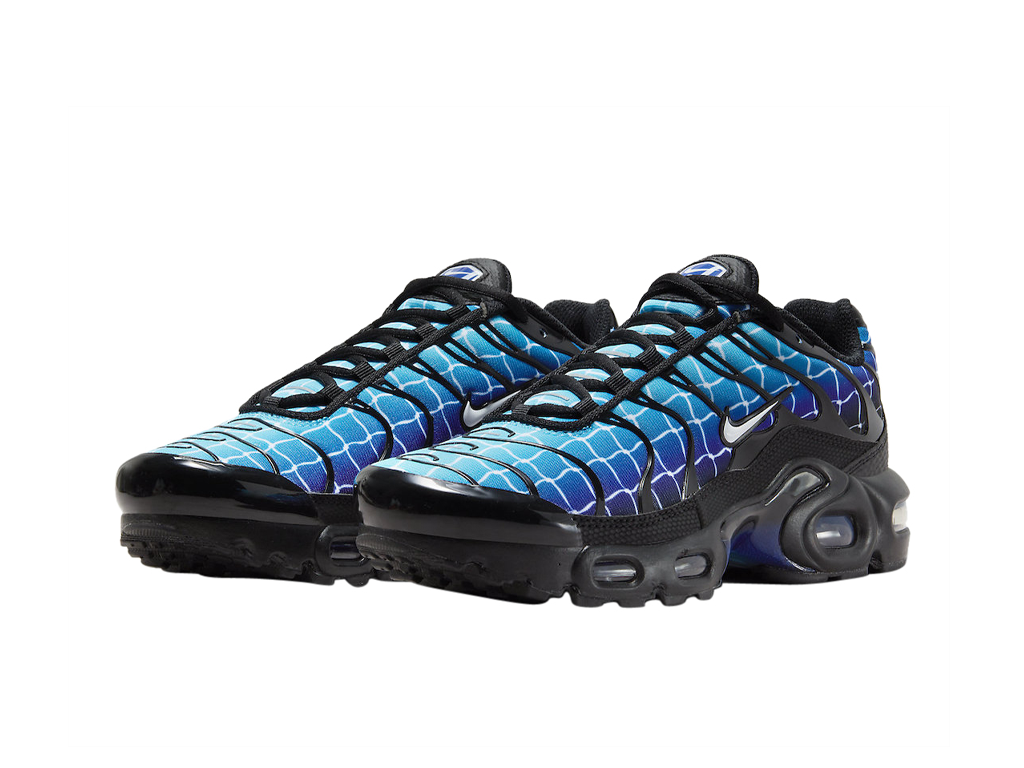 Nike Air Max Plus Chain Link Fence