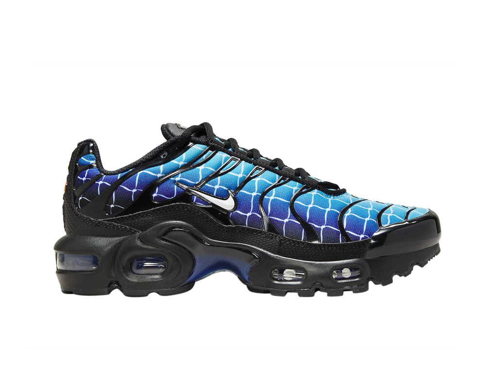 Nike Air Max Plus Chain Link Fence