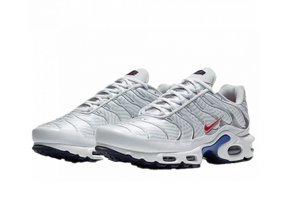 Nike Air Max Plus Euro Tour