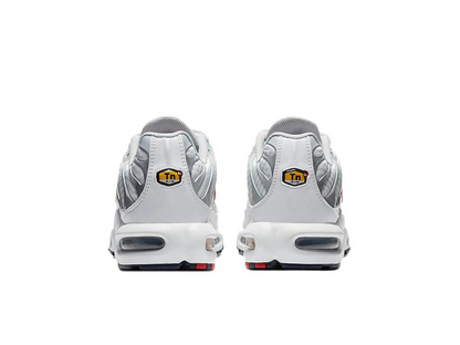 Nike Air Max Plus Euro Tour