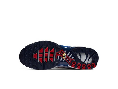 Nike Air Max Plus Euro Tour