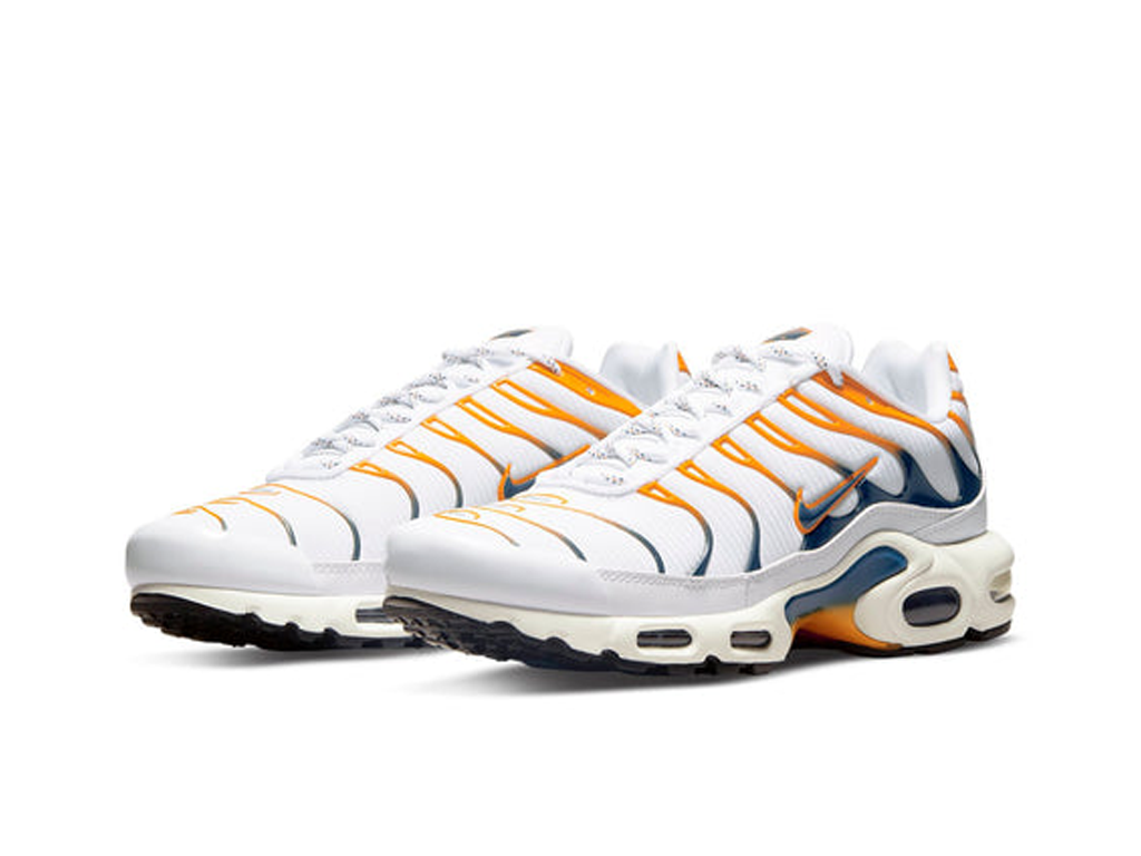 Nike Air Max Plus Hiking