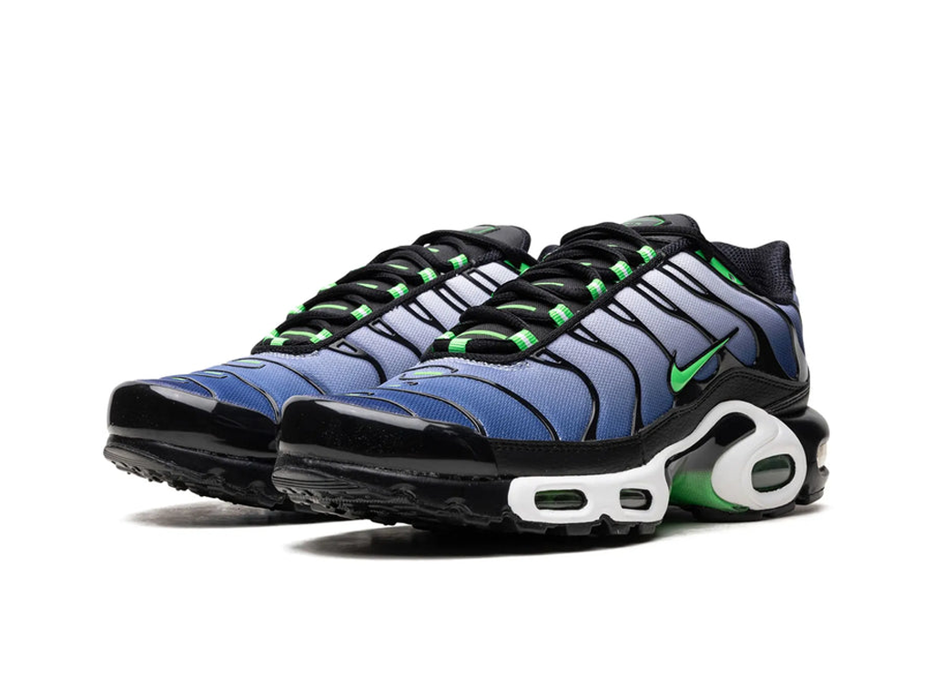 Nike Air Max Plus Icons