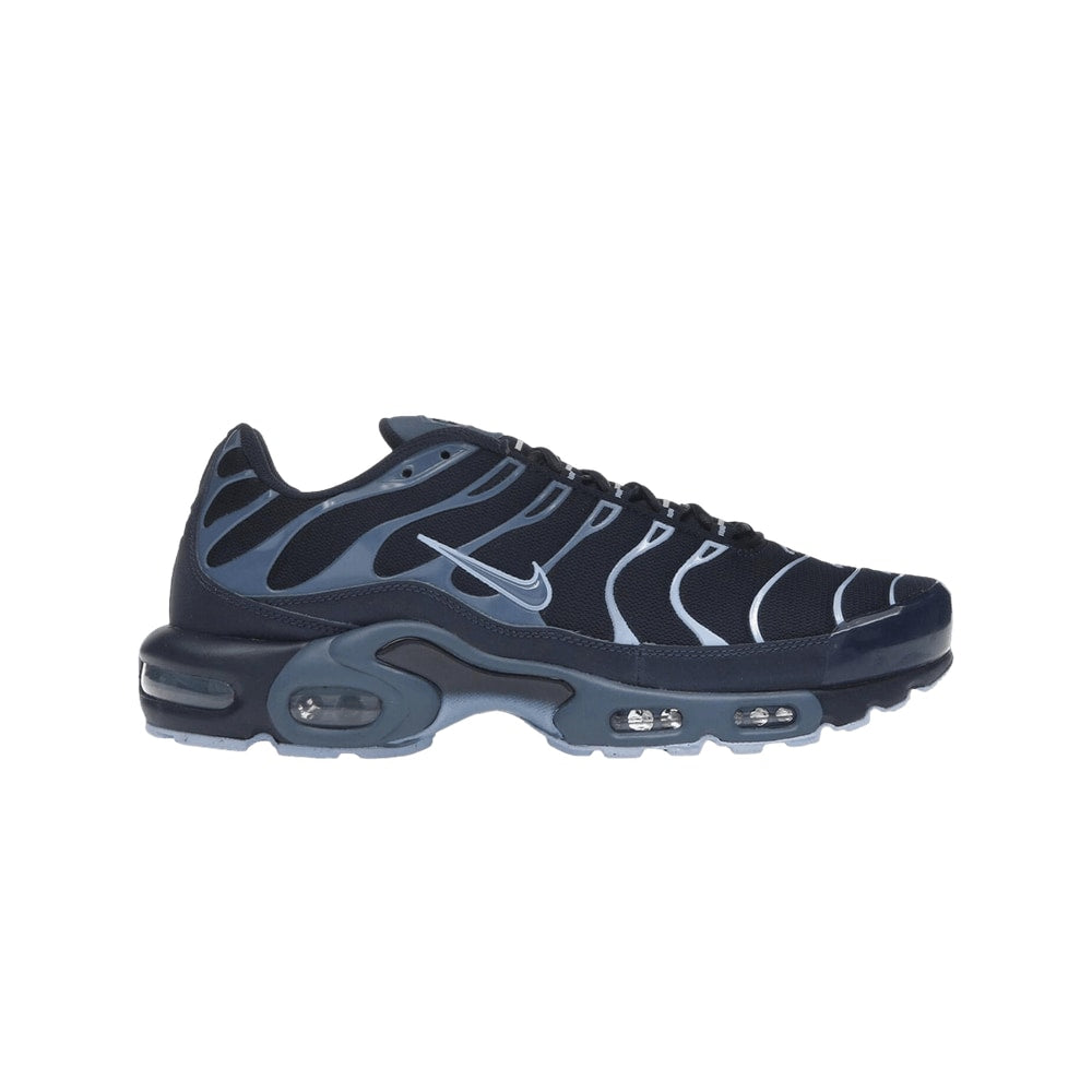 Nike Air Max Plus Obsidian Aluminum